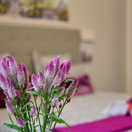 Bed & Breakfast Rhome31